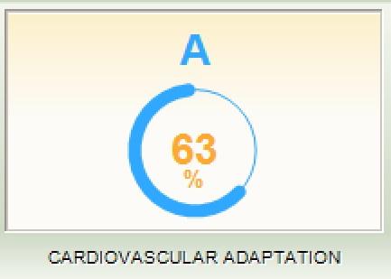 CV index neuralchek