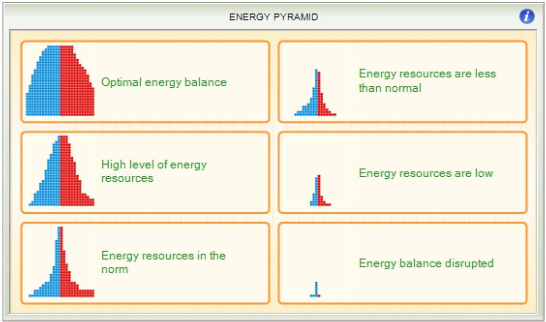 Metabolische pyramide legende