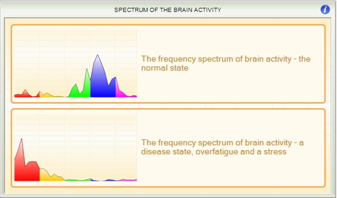 Spectrum of the brain activity legende