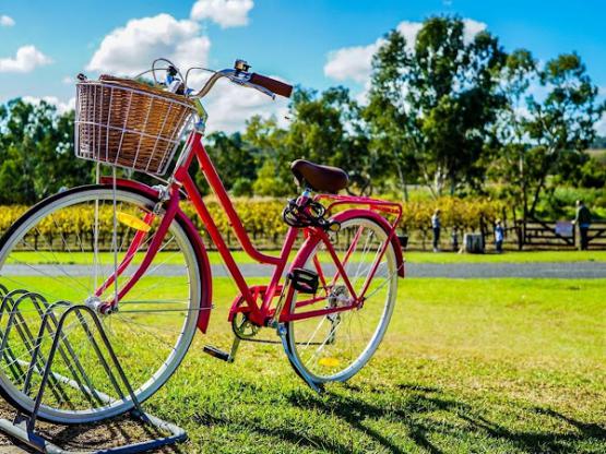 Chiropraxie : Rug- en nekklachten voorkomen