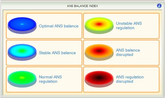 ANS balance index scale